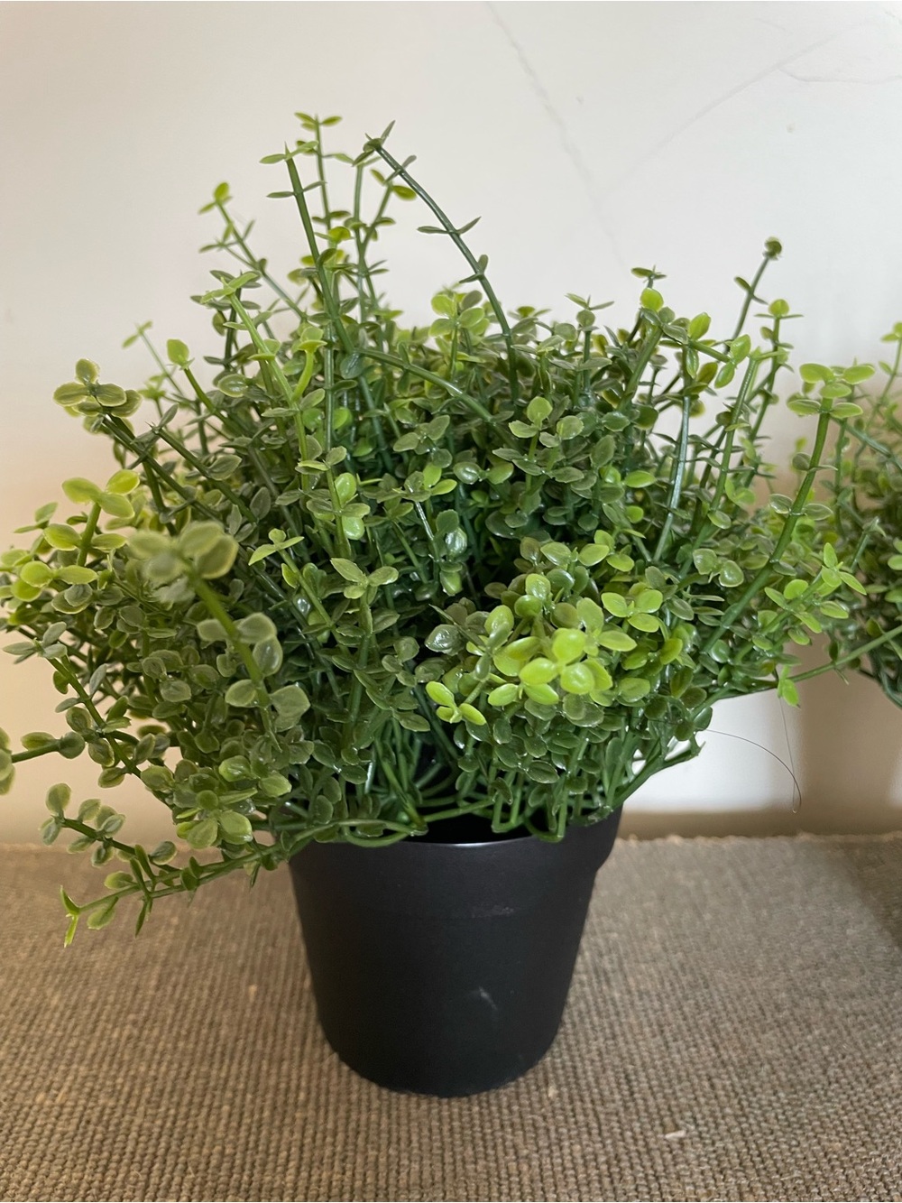 2 IKEA FEJKA BABY’S TEARS 3 ½" Artificial Potted Plant Indoor/ Outdoor - Picture 6 of 6